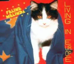 Feline Melinda : Living in Europe